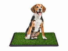 Giantex toilette chien gazon portable 51x76cm litière pour chien tapis d’herbe matelas d'entraînement pour animaux