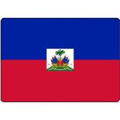 Surface de découpe Haïti en verre 28.5 x 20 cm