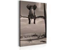 Tableau elephant in the desert taille 40 x 60 cm PD8377-40-60