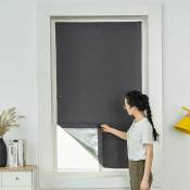 Ahlsen - Stores à ventouses athermiques pour fenêtres de toit réflecteurs de rayons de soleil Ventouses 60x120 cm gris foncé - black