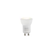 Calex - Lampe led GU10 dimmable 35mm 4W 260 lm 3000K