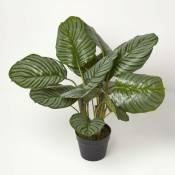 Homescapes - Plante artificielle Calathea en pot, 55