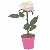 Licht-erlebnisse - Lampe de table led 28 cm Rose Blanc 2000 k Moderne Lampe de table - blanc, rose