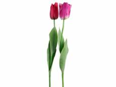 Tulipe elisa rose fonce/rose assortiment de 2