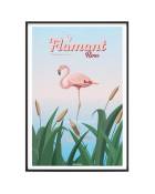 Affiche Animaux - Le Flamant rose 40x 60 cm