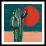 Affiche illustration cactus et soleil rouge 50x50cm