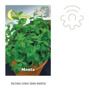 Hortus Buona Luna 0,15 gr graines de menthe semer potager