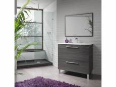 Meuble sous-vasque avec deux tiroirs et un miroir encadré, coloris gris cendré, 80 x 80 x 45 cm. 8052773795395
