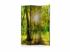 Paravent 3 volets - forest rays [room dividers] A1-PARAVENTtc0720