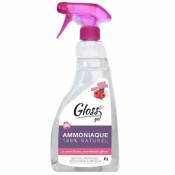 Pulvérisateur ammoniaque 100% naturel Gloss gel 750