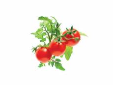 Recharge triple de mini-tomates pour smart garden - click and grow