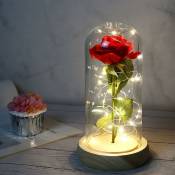 Rose la Belle et la Bête, fleurs éternelles dans un dôme en verre avec barre lumineuse led, Saint-Valentin, anniversaire de mariage, fête des mères,