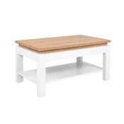 Table basse stratifiés blanc et bois