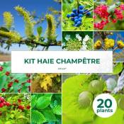 Pepinières Naudet - Kit Haie Champêtre - 20 Jeunes Plants -