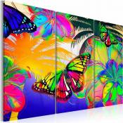 Tableau papillons exotiques - 60 x 40 cm