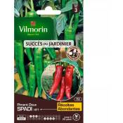 Vilmorin - Sachet graines Piment doux spadi HF1