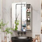 Armoire Miroir Salle de Bain: Meuble Argenté de Rangement Toilette avec Miroir Armoire Rectangulaire à Pharmacie Murale avec Miroir Double