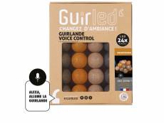 Guirlande boule lumineuse 24 led voice control - mesopotamia