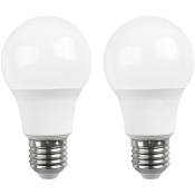 Raydan Home - Lot 2 Ampoules led Standard E27 16W Equi.100W 1521lm 15000H - Blanc
