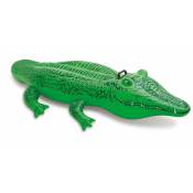 Crocodile à Chevaucher - Intex - Vert