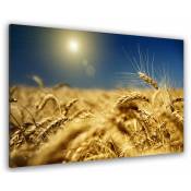 Hxadeco - Tableau deco champs de blé couchant - 80x50 cm - Jaune