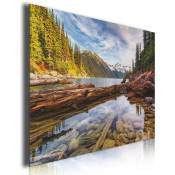 Hxadeco - Tableau decoratif paysage de montagne, 80x50cm 53x1000 - Vert