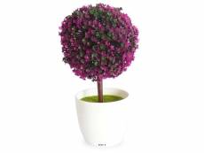 "mini plante topiaire violet déco h25 cm en pot plastique