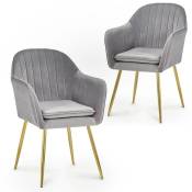 Mobilier Deco - regina - Lot de 2 chaises design avec accoudoirs en velours gris - Gris