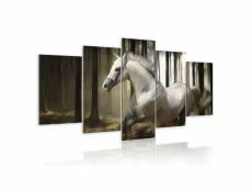 Paris prix - tableau imprimé "cheval courant" 100 x 200 cm