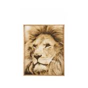 Decoration Murale Lion Bois/Verre Marron - l 80 x l