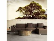 Papier peint intissé paysages arbre dans le désert taille 400 x 309 cm PD14450-400-309