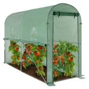 Serre à tomates relevable 3m² verte 2 fenêtres avec