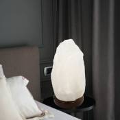 Douille de lampe de sel Lampe en cristal de sel petite lampe de table, bois brun foncé, blanc, 1x E14, DxH 12 x 19 cm