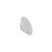 Lampe led Piscine - Blanche - Format PAR56 ecoproof