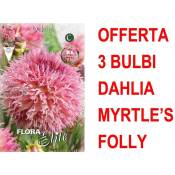 Peragashop - offre 3 bulbes dahlia décoratifs myrtle's