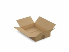 20 cartons d'emballage 31 x 21.5 x 5.5 cm - simple cannelure CAS14-20