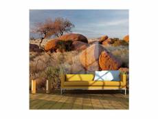 Papier peint paysage africain, namibie l 400 x h 309 cm A1-4XLFTNT0137
