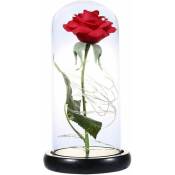 Beauty in LED Glass Dome Forever Rouge Saint Valentin
