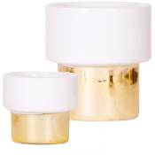 Cache-pot Lush Gold - le luxe en blanc et or - adapté