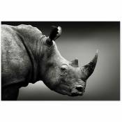 Affiche Rhinoceros Close up noir et blanc - 60x40cm - made in France