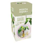 JUB - Kit tout prêt Plante Hosta Aqua verte