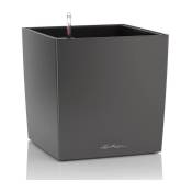 Lechuza - Pot de fleur Cube Premium 50 - kit complet,