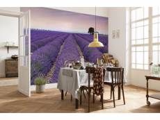 Photo murale - 400 x 260 cm - panoramique intissé - provence