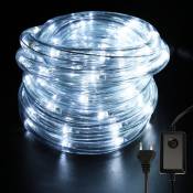 Tube Lumineux Extérieur led Guirlande Lumineuse Décoration avec 480 Lampes et Adapteur d'alimentation Blanc froid 20M - Tolletour
