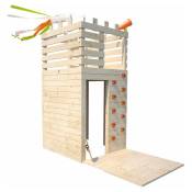 Maisonnette en bois pour enfants et ado avec mur escalade