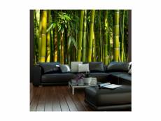 Papier peint - forêt de bambous asiatique-250x193