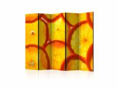 Paravent 5 volets - orange slices ii [room dividers]