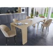Table console extensible en bois 10 personnes paloma