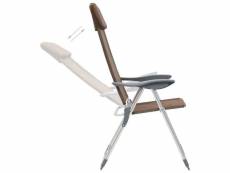 Vidaxl chaises de camping pliables 2 pcs marron aluminium 44310