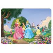 Ag Art - Set de table - Disney princesses - Raiponce,